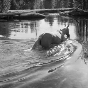 Mimi Plumb Megalith-Still