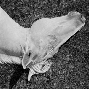 Mimi Plumb Megalith-Still