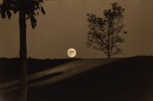 Masao Yamamoto Nakazora