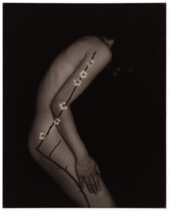 Masao Yamamoto Nakazora