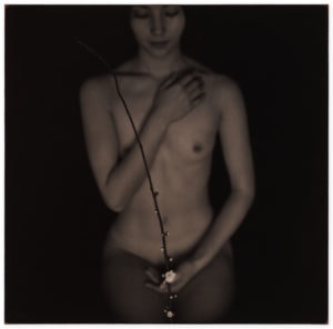 Masao Yamamoto Nakazora