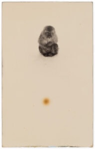 Masao Yamamoto Nakazora