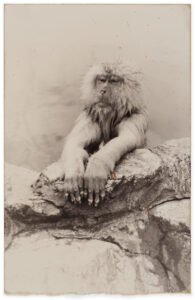 Masao Yamamoto Nakazora