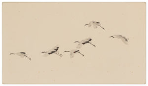 Masao Yamamoto Nakazora