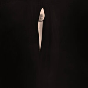 Masao Yamamoto Nakazora