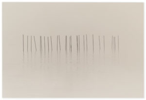 Masao Yamamoto Nakazora