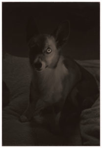 Masao Yamamoto Nakazora