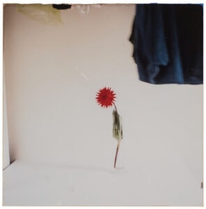 Masao Yamamoto Nakazora