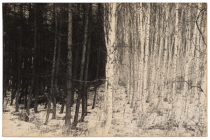 Masao Yamamoto Nakazora