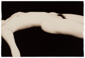 Masao Yamamoto Nakazora