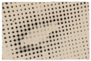 Masao Yamamoto Bonsai · Microcosms Nakazora