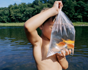 A boy holding a bag of goldfish in the water.