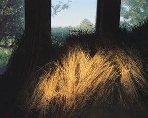 Trent Davis Bailey North Fork