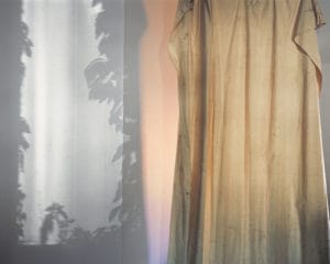 Trent Davis Bailey North Fork