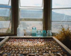 Trent Davis Bailey North Fork