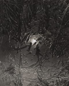 György Kepes New Bauhaus