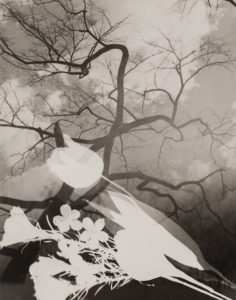 György Kepes New Bauhaus