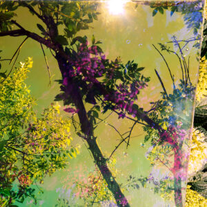 Karine Laval Heterotopia