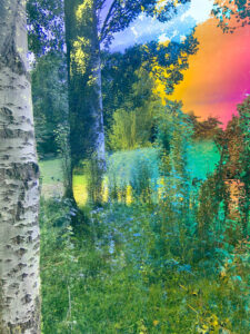 Karine Laval Malmaison