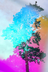 Karine Laval Malmaison