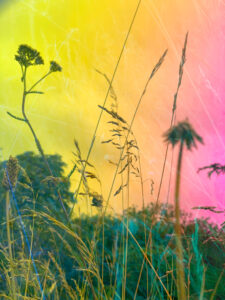 Karine Laval Malmaison