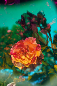 Karine Laval Malmaison