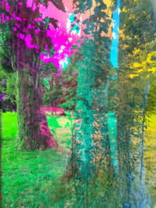 Karine Laval Malmaison