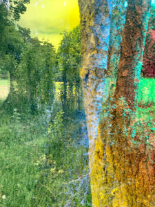 Karine Laval Malmaison