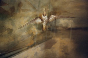 Rebecca Norris Webb Slant Rhymes