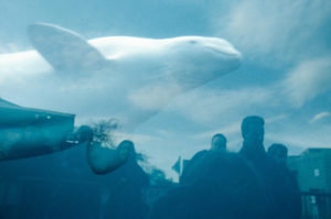 Rebecca Norris Webb Slant Rhymes