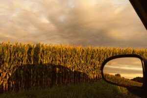 Rebecca Norris Webb Night Calls