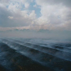 Larry Schwarm On Fire