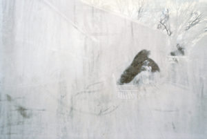 Rebecca Norris Webb Memory City