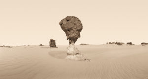 David Parker New Desert Myths