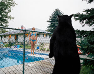 Amy Stein New American Fables