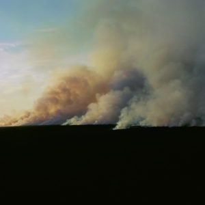 Larry Schwarm On Fire