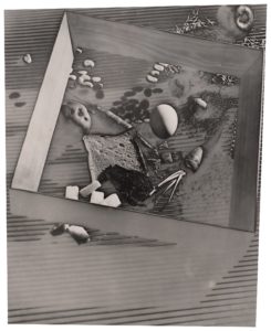 György Kepes and M. Halberstadt