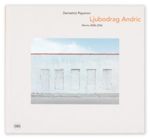 Ljubodrage Andric book