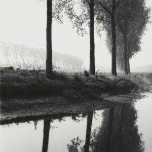 Lynn Geesaman The Source