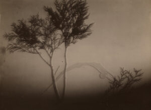 František Drtikol cut-out