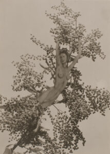 František Drtikol cut-out