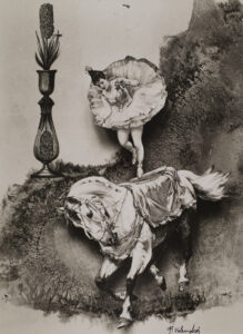 František Vobecký Surrealism in Photography: 1920s - 1980s