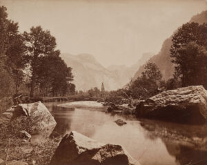 Eadweard Muybridge Mammoth Plates