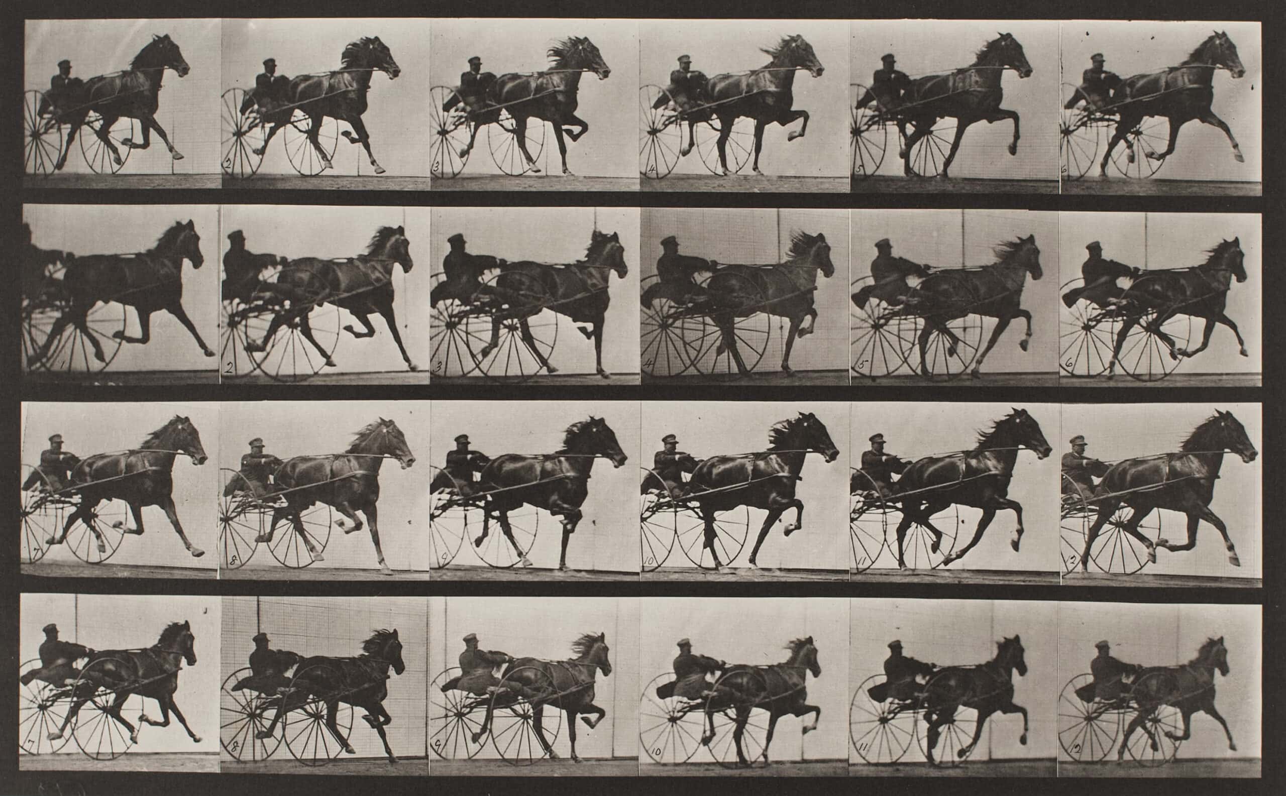 Eadweard Muybridge Horses