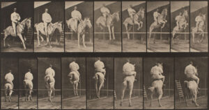 Eadweard Muybridge Horses