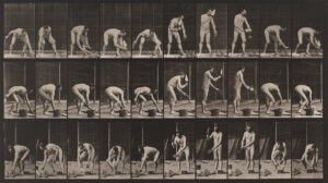 Eadweard Muybridge males