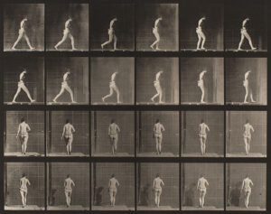 Eadweard Muybridge Women and Children