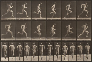 Eadweard Muybridge males