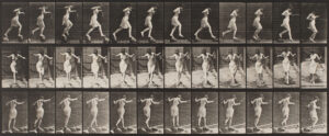 Eadweard Muybridge