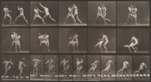 Eadweard Muybridge males